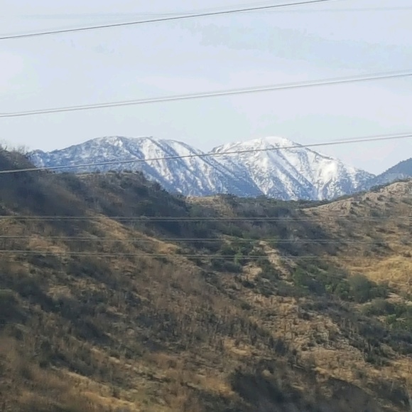 Meet your Posher, Zenia - Picture 1 of 1